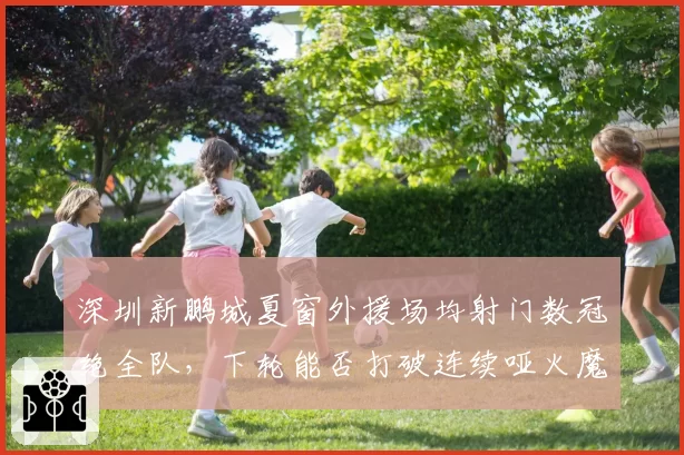 深圳新鹏城夏窗外援场均射门数冠绝全队，下轮能否打破连续哑火魔咒？
