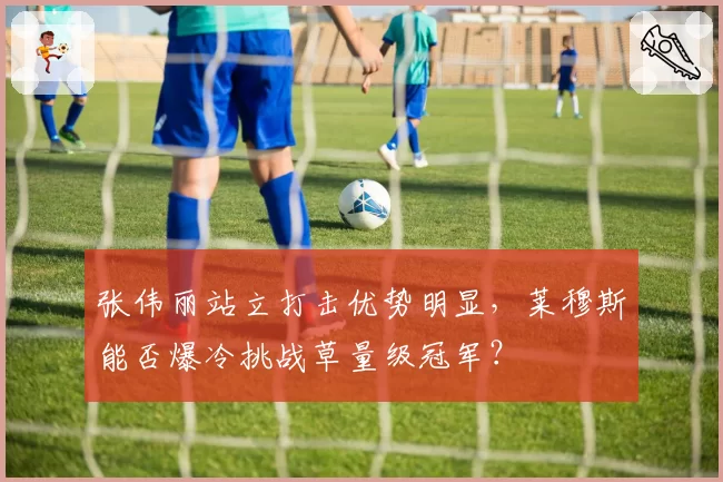 张伟丽站立打击优势明显，莱穆斯能否爆冷挑战草量级冠军？