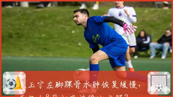 张玉宁左脚踝骨水肿恢复缓慢，能否赶上8月初京沪德比成疑？